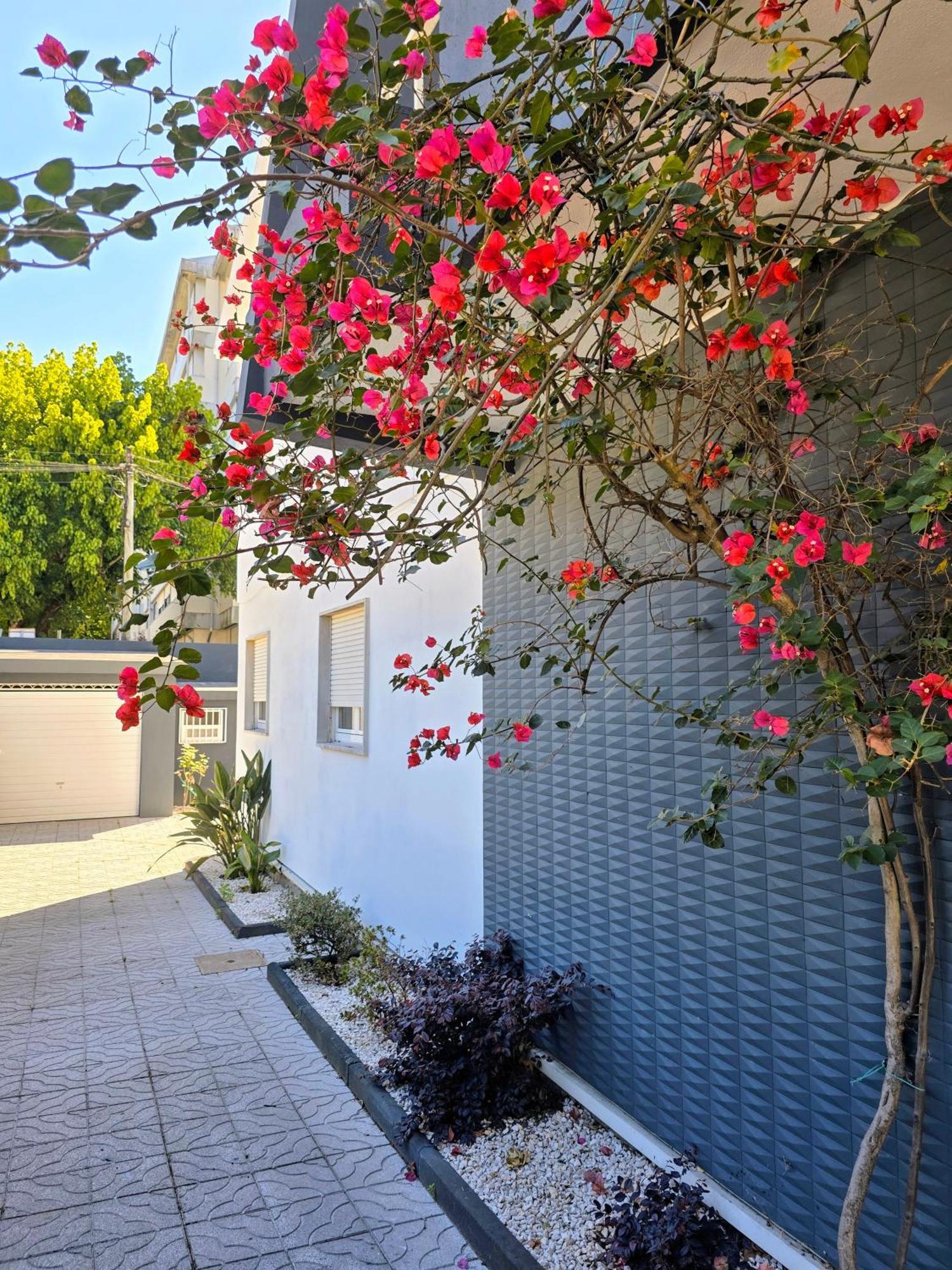 Casa Da Ana Villa Braga Eksteriør billede